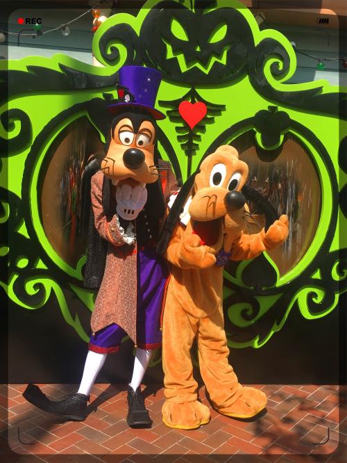 キャラクターグリーティング２-１