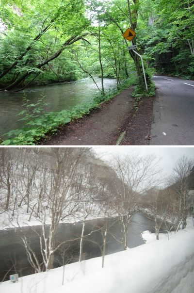 奥入瀬・遊歩道2