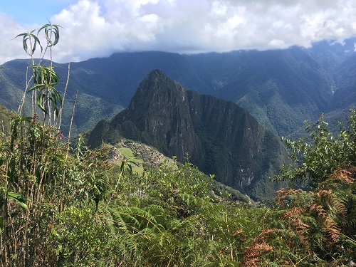 マチュピチュ山7