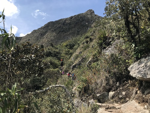 マチュピチュ山8