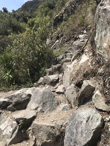 マチュピチュ山9