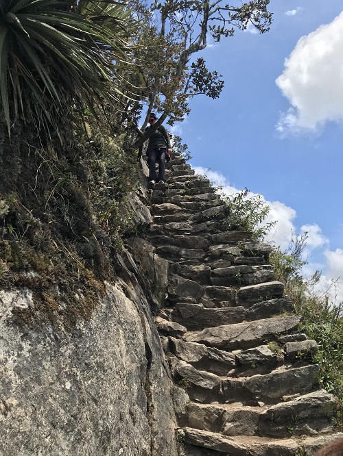 マチュピチュ山12