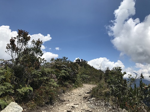 マチュピチュ山14