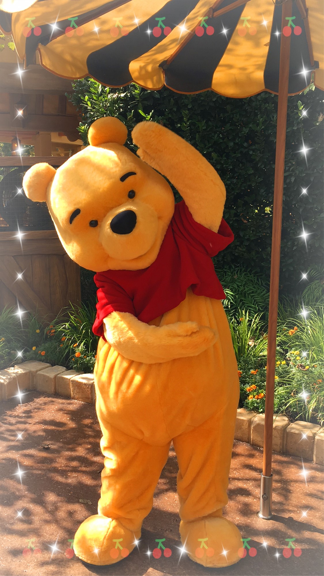 上海ディズニーランド キャラクターグリーティング サイン編 ３ ちぇんたんさんの旅行ブログ トラベルコ