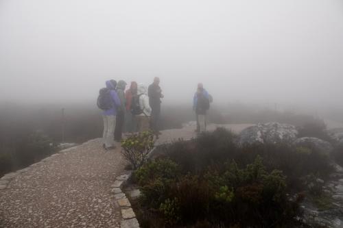 ３テーブルマウンテン