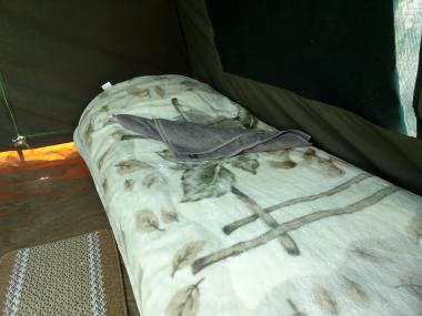 ２モバイルサファリ