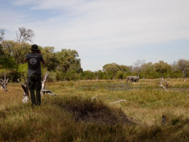 ５モバイルサファリ