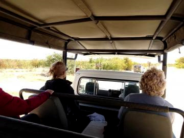 ５サファリカー