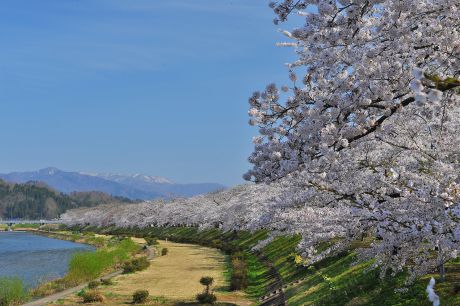 桧木内川１