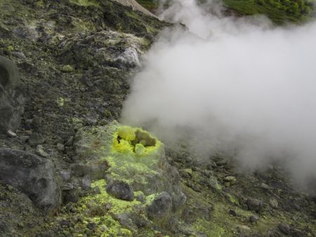 玉川温泉園地自然研究路3