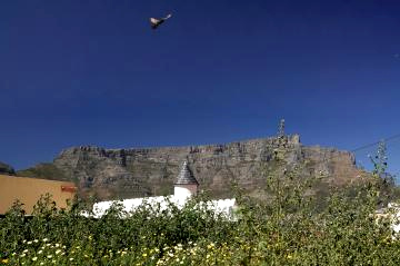 ４町から見たテーブルマウンテン