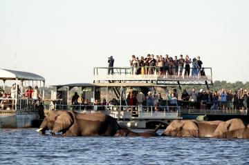 １チョベボートサファリ