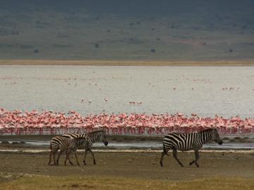 ３クレーターのマガディ湖