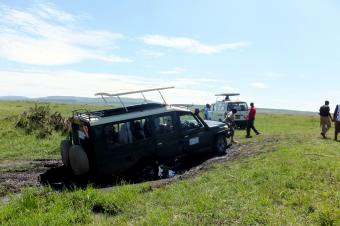 １サファリでスタック