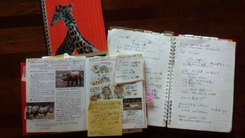 １サファリノート