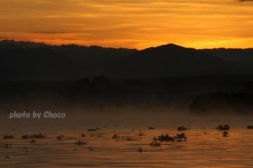 2早朝ボートサファリ