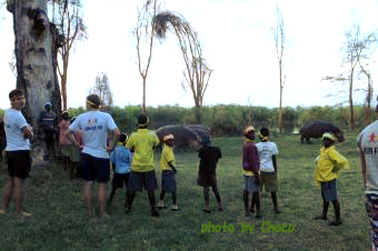 ２ナイバシャ湖のキャンプ