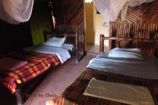 ３キャンプベッド