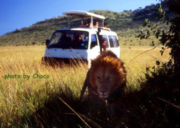 ２ゲームドライブ