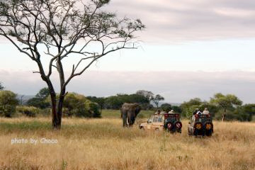 1タランギレ国立公園