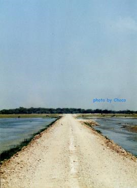 6アンボセリ国立公園