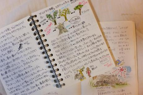 3サファリノート