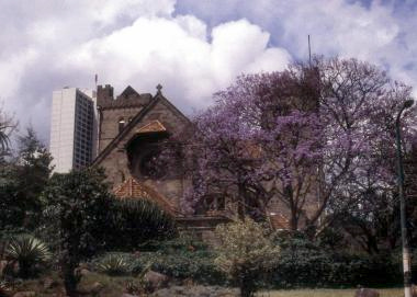 4ジャカランダと教会