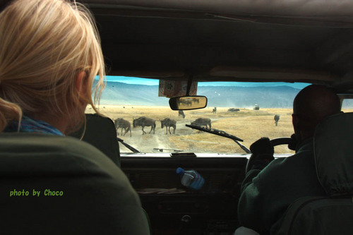 １ンゴロンゴロ