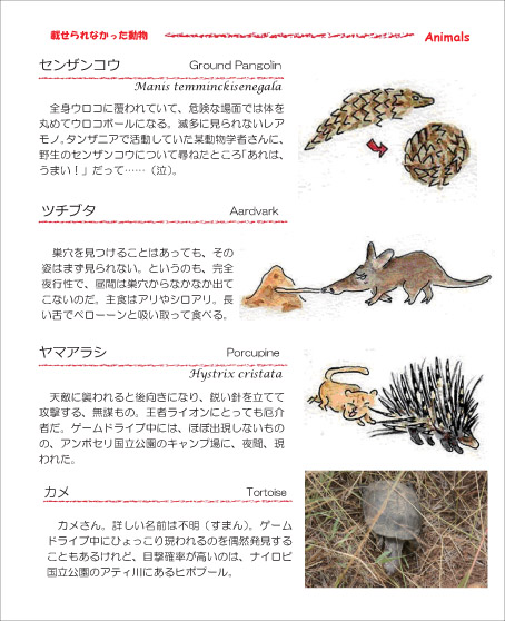 002ケニアガイドブック