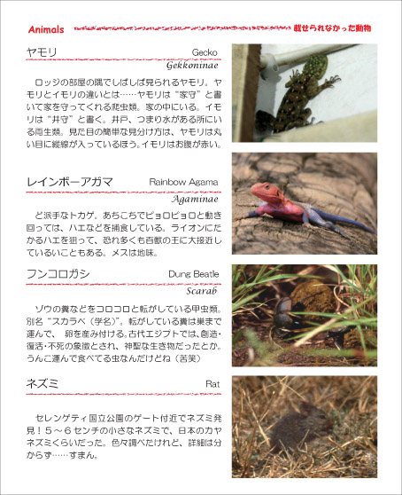 003ケニアガイドブック