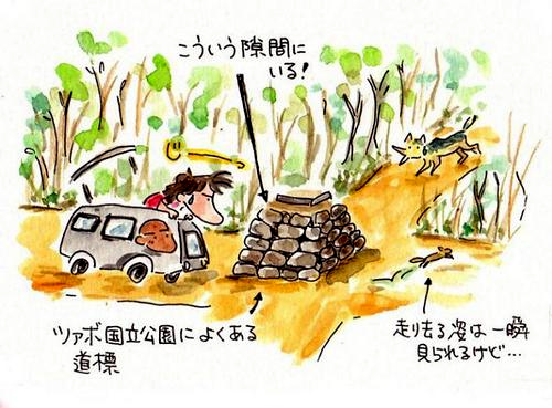 ツァボのイラスト