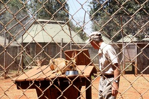 ナイロビ孤児院01