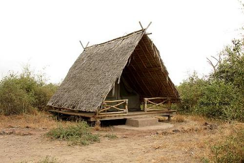 キャンプの小屋