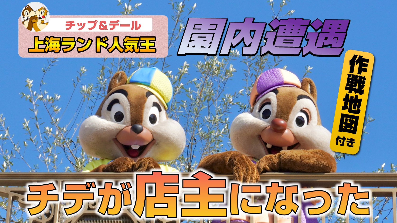 上海ディズニーランドの人気キャラクターは誰 ちぇんたんさんの旅行ブログ トラベルコ