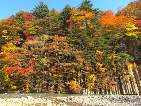 八幡平紅葉