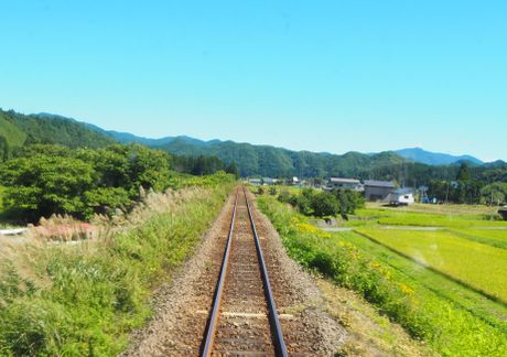 内陸線車窓風景