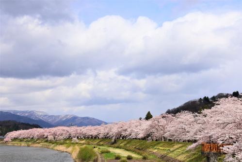 桧木内川堤