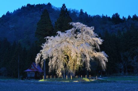 おしら様夜