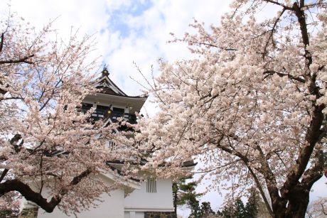 横手公園