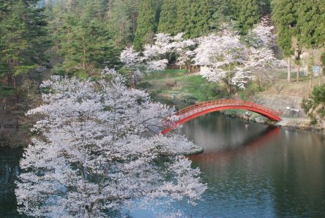 横手公園太鼓橋
