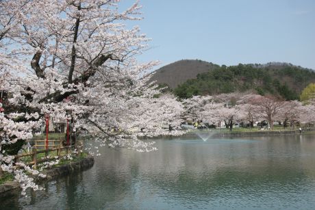 真人公園