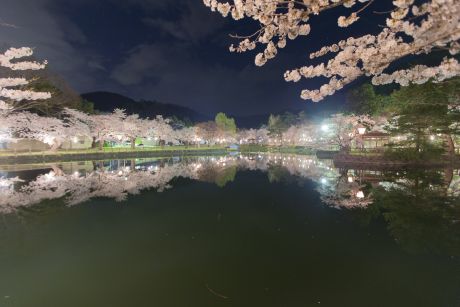 真人公園夜