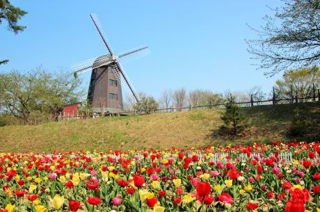 雪谷川ダムフォリストパーク・軽米1