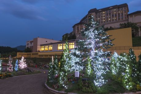 フラワー＆ガーデン森の風2