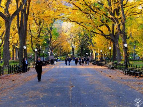 秋のセントラルパーク