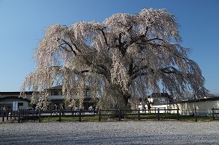 法亀寺