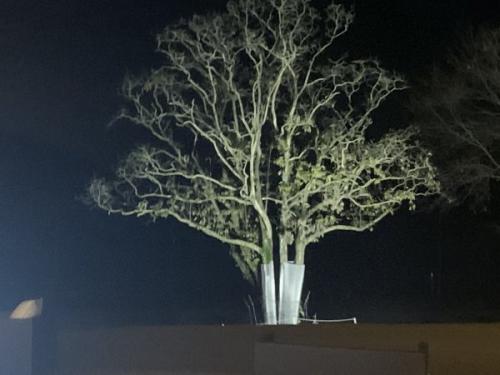 ロテルデュラク