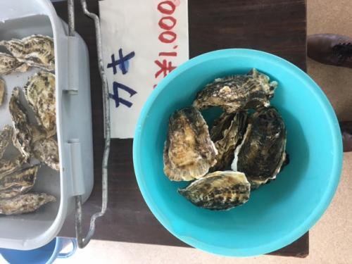 志賀島センターで食べられる牡蠣（季節限定