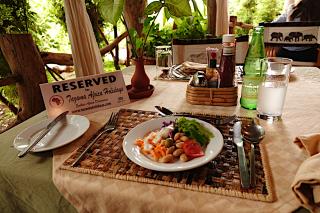 サファリのコロナ対策