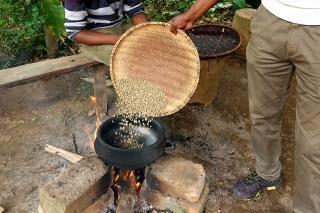 コーヒー生豆５